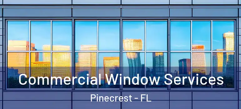  Commercial Window Services Pinecrest - FL