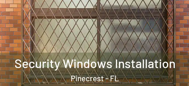  Security Windows Installation Pinecrest - FL