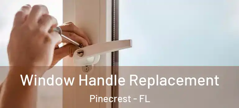  Window Handle Replacement Pinecrest - FL